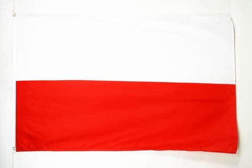 bandera-polonia-31OByU3AM9L._AC_.jpg